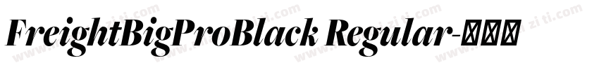 FreightBigProBlack Regular字体转换